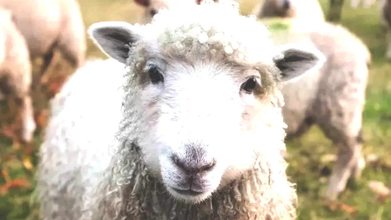 Adsız Tasarım 228-1