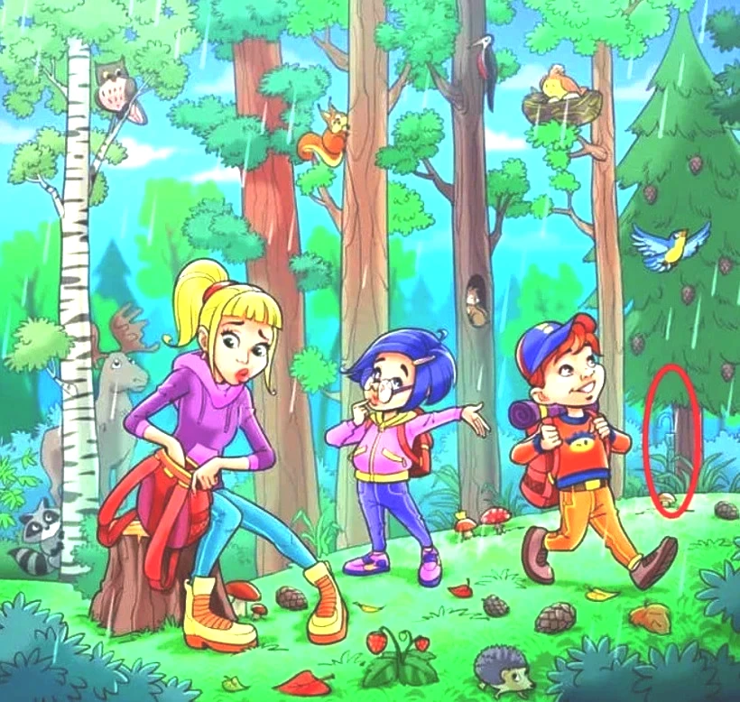 Zihin açıcı zeka testi: Ormandaki kayıp şemsiyeyi bulabilir misin? - Resim: 2