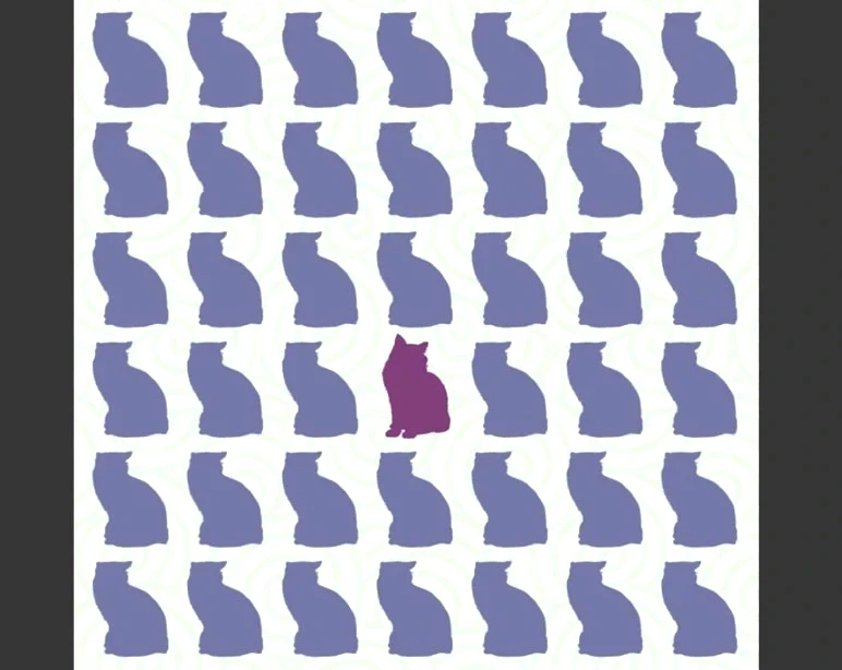 Resimdeki farklı kediyi yalnızca yüksek IQ'su olanlar buluyor - Resim : 5